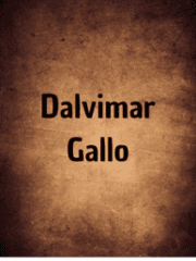 Dalvimar Gallo